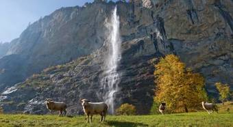 Camping Jungfrau - Holiday Park