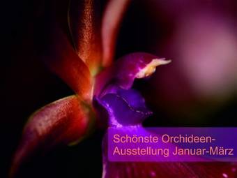 Hotel Restaurant Florida