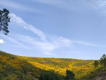 Abrigo Do Cabecinho - Serra Da Estrela