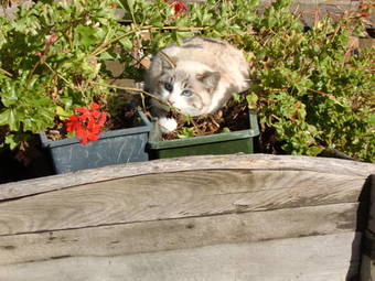 Hotel Der Brunnerhof