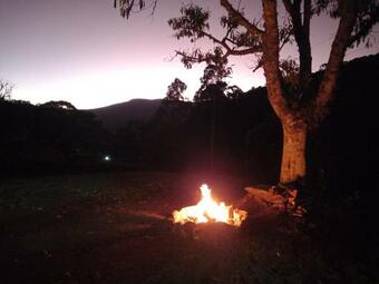 Chal� Flor De Ip�