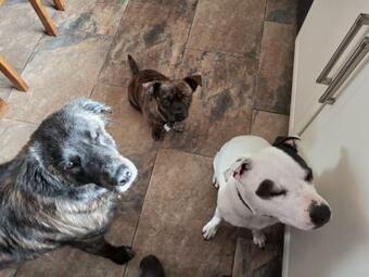 Apartamento One Self Contained Ground Floor Bedroom With Ensuite Wet Room