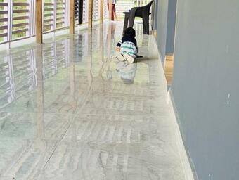 Hotel Mrig Valley Resort, Homestay & Banquet