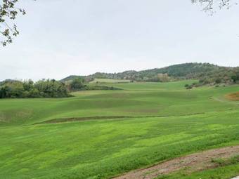 Apartamentos Borgata Porpora Uno