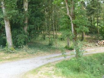 Chalet Pied De Mouton