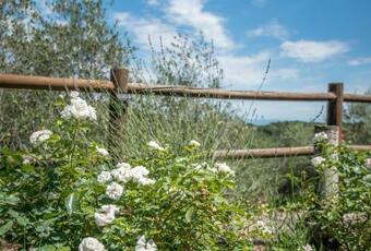 Casa Crevole Di Martina