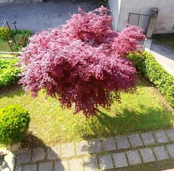 Apartamento Appartamento Piario