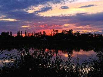 Locazione Mimosa Con Giardino