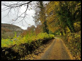 River Cottage