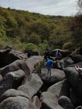 Logement Pour Vieilles Charrues