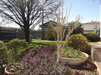 Bed & Breakfast Il Gelsomino