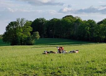 Bed & Breakfast Domaine Du Castellare