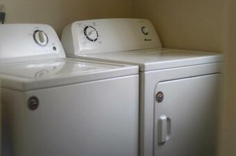 Hostal Moss Room: Nature, Weed, & Wine At Fernwood