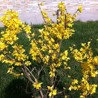 Bed & Breakfast Gioia In Collina