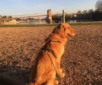 Hostal La Roulotte Des Bords De Sa�ne