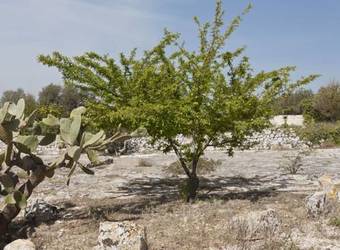 Apartamento Monolocale Borgo