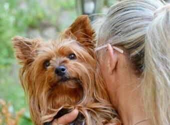 Apartamento Studio Malou