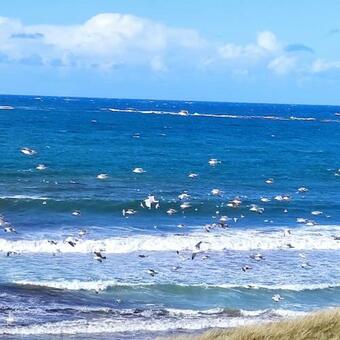 Apartamento G�te Kerbourc'h