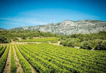 Agroturismo Bergerie De La Bu�ges