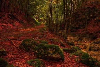 Hostal Piccolo Fiore