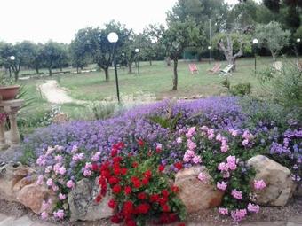 Agroturismo Agriturismo Santa Chiara