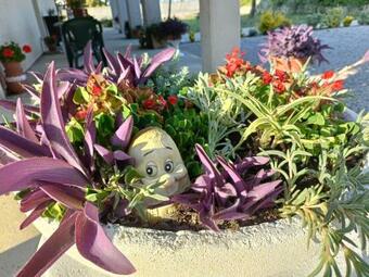 Hostal Alloggio Corte Pradon