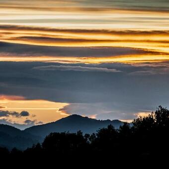 Hostal Il Pavone Errante