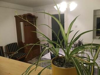 Levendula Apartmanh�z