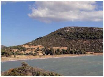 ????? ??????? ?????????