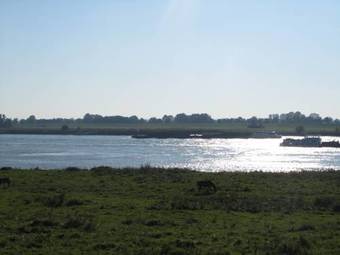 Hostal Hotel B&B De Tolkamer