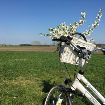 Apartamento Siedlisko Besiekiery