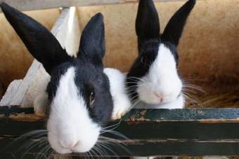 Apartamento Newhouse Logies