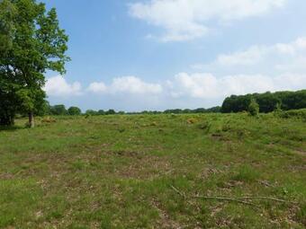 Modern Holiday Home With Terrace In Huizen