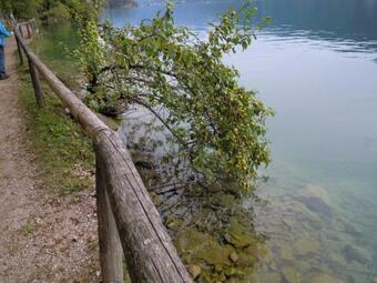 Ver fotos
