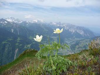 Hostal Landhaus Rudigier