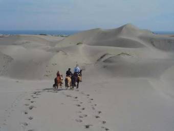 Hotel La Ritoque�a