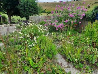 Characterful Two Bedroom Cottage