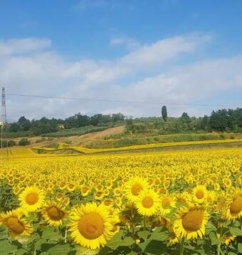 Apartamento Affittacamere Open Space