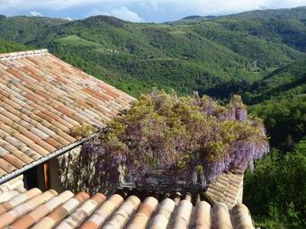 Hotel G�te De Chapel�che Les Glycines