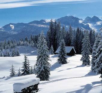 Apartamento Appartementhaus Oberlehen