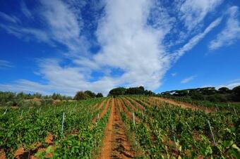 Agroturismo Agriturismo Antica Fonte