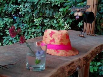 Gite Champ�tre Drome Lorette