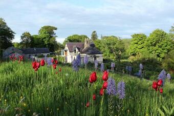 June Blake's Garden