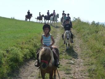 Cabane Aux �toiles