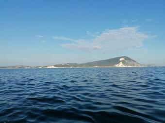 Agroturismo Il Piccolo Uliveto Del Conero