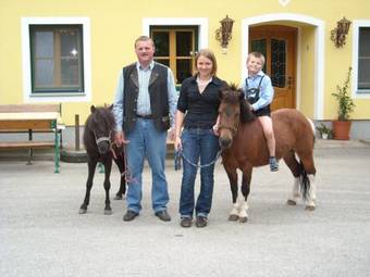 Hostal Familienbauernhof Salmanner