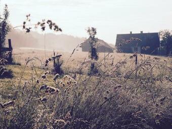 Apartmaji Gospoud Srmak