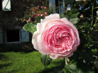 Bed & Breakfast La Basserie