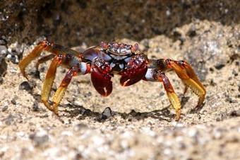 Bed & Breakfast Calma Do Mar