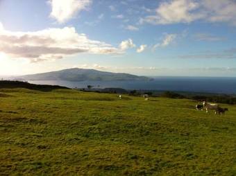 Apartamentos Baia Da Barca
